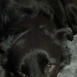 Meet your Posher, Glendy